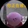 cottoncandyms